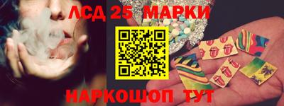 шишки Бердск