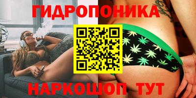 шишки Бердск