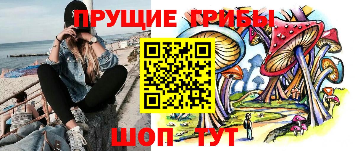 Псилоцибиновые грибы Psilocybe Заринск