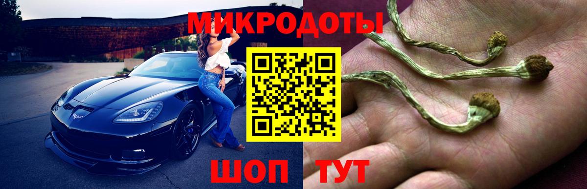 Заринск  Галлюциногенные грибы ЛСД  Вход с VPN 